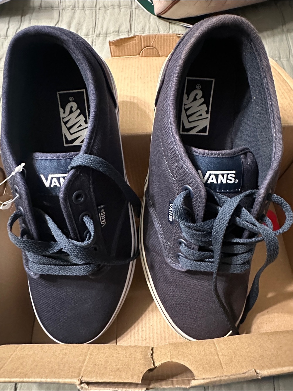 Vans Navy Canvas Low-Top Sneakers